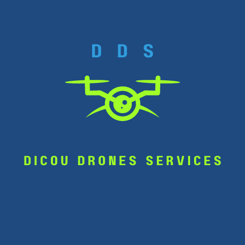 DICOU DRONES SERVICES