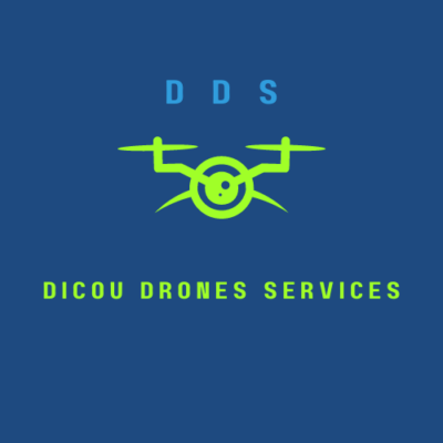 dicou.drones.services